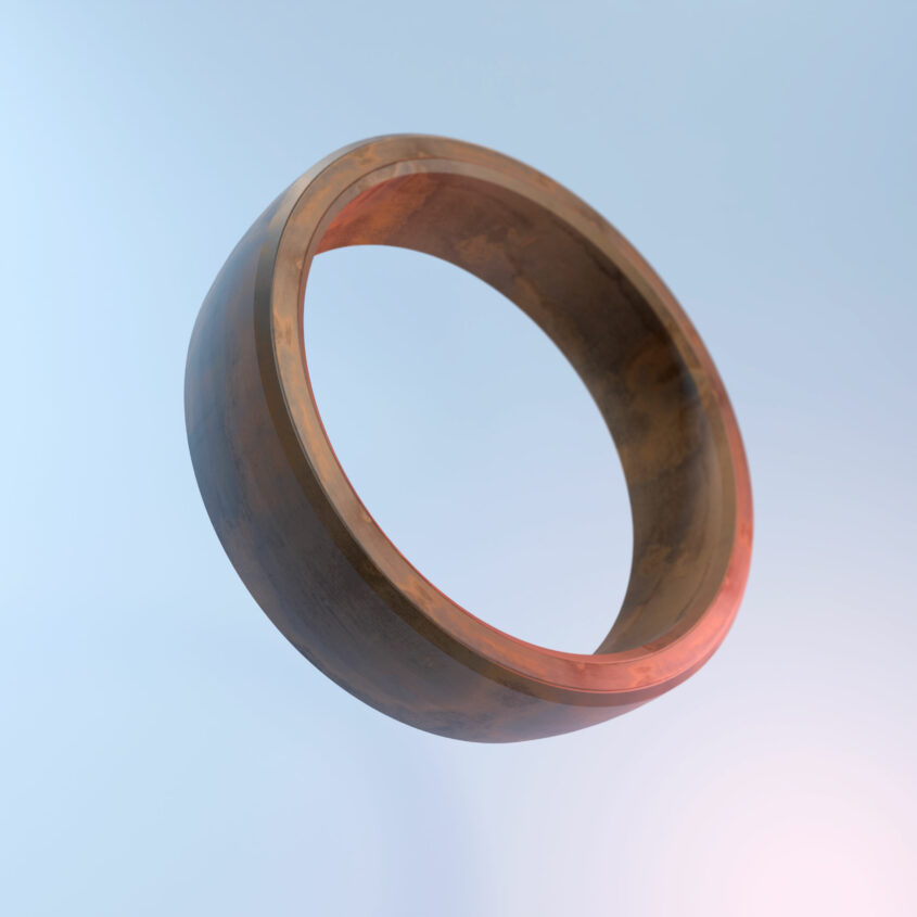 The Seedkeeper Ring - Your passwords always with you!